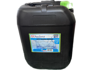 OTO YIKAMA KÖPÜĞÜ